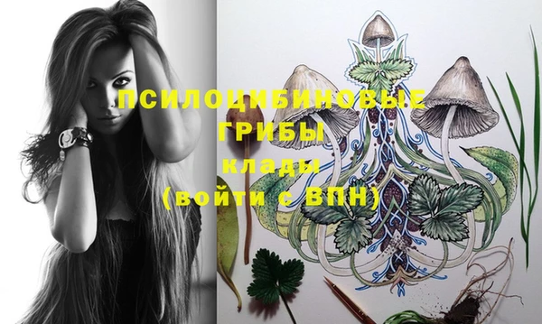 ГАЛЛЮЦИНОГЕННЫЕ ГРИБЫ Сатка